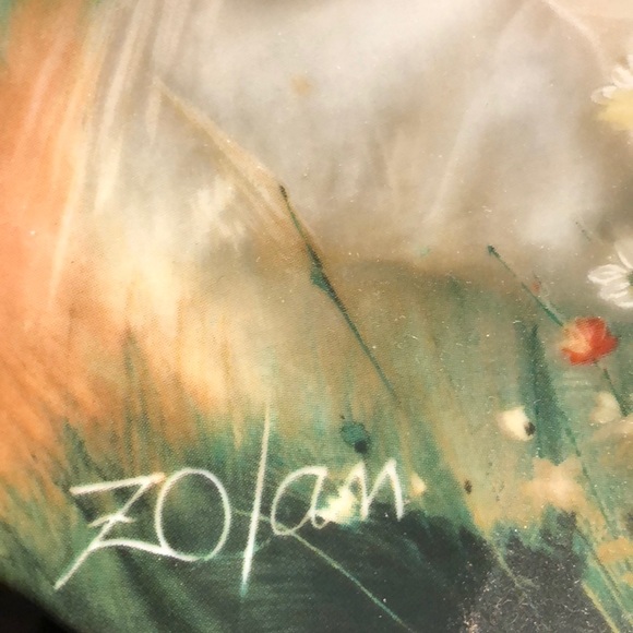 Vintage Collectible plate - Picture 3 of 4